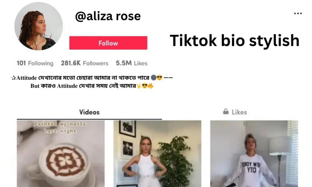 Tiktok bio stylish