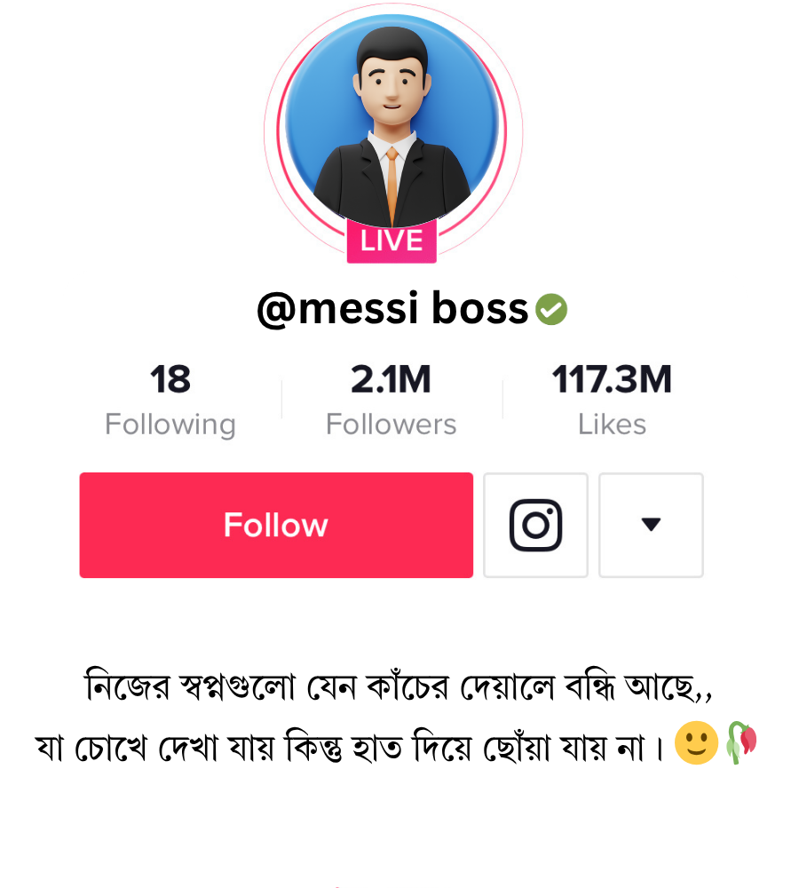 tiktok bio stylish text