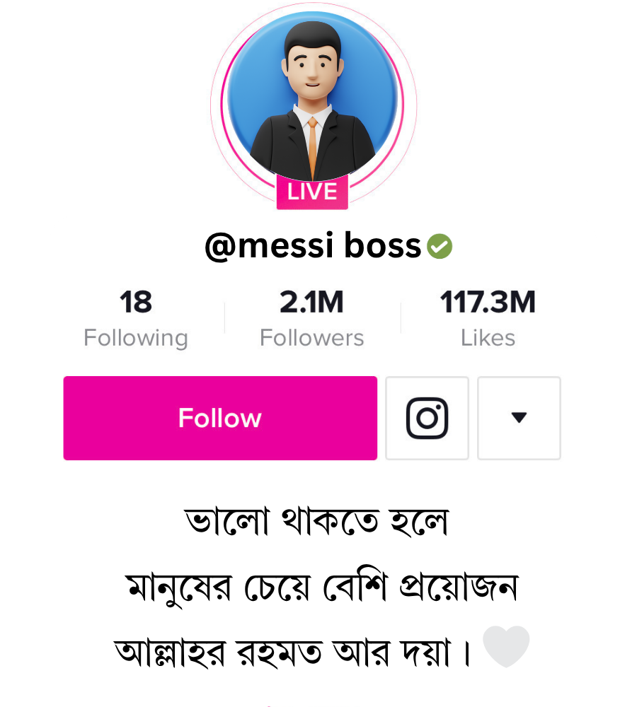 টিকটক বায়ো স্টাইলিশ বাংলা