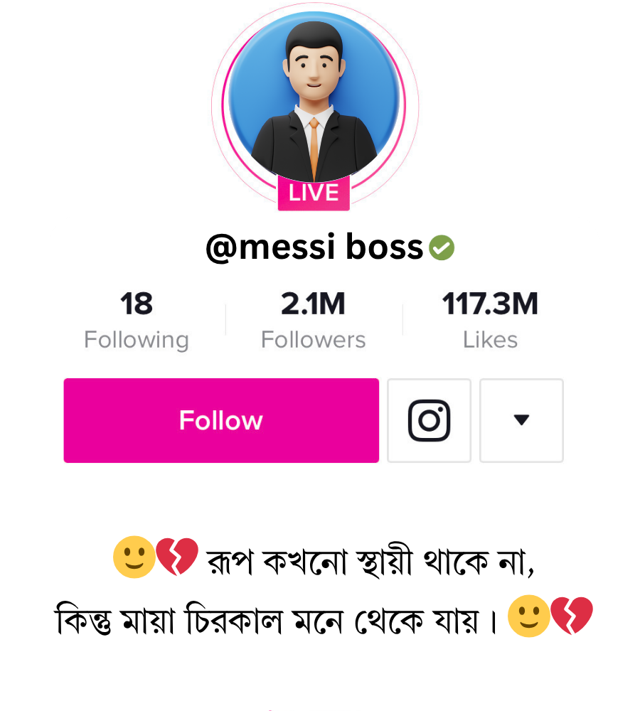 টিকটক বায়ো স্টাইলিশ