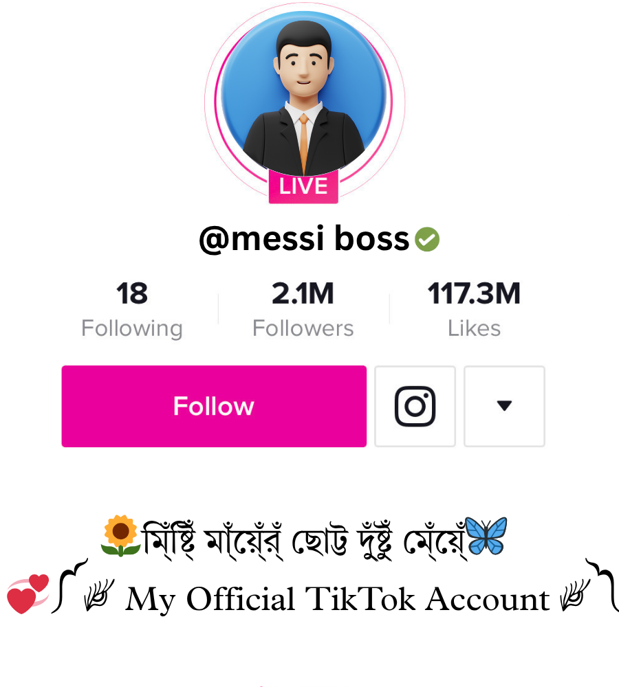 স্টাইলিশ টিকটক বায়ো বাংলা