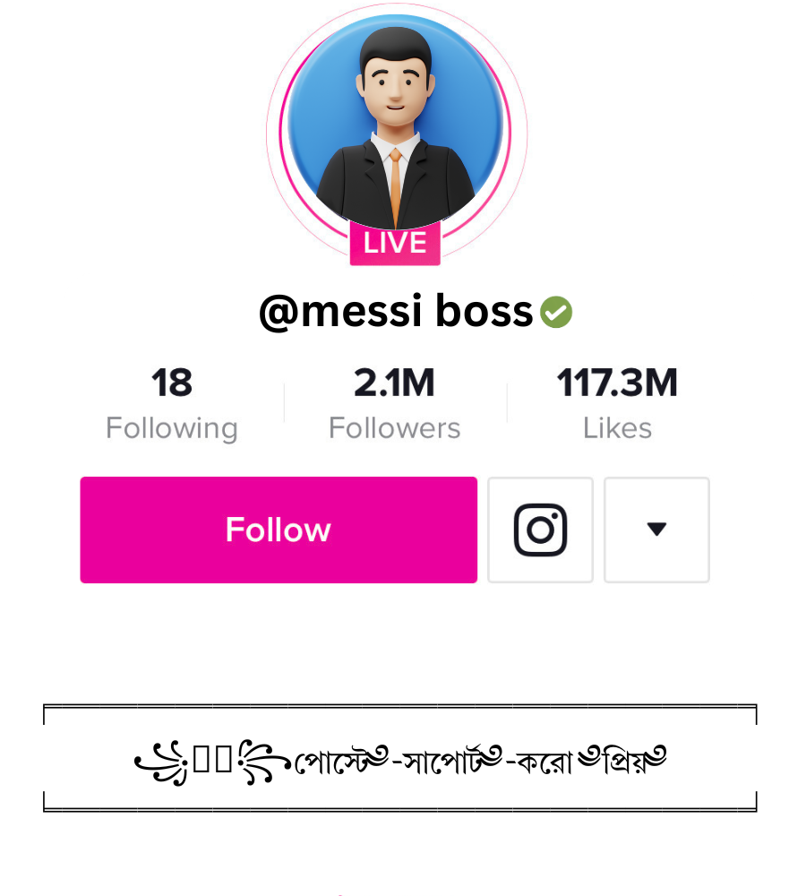 স্টাইলিশ টিকটক বায়ো