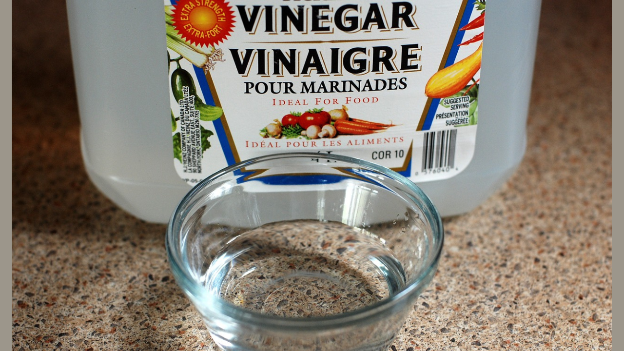 Is It Safe Like Vinegar?